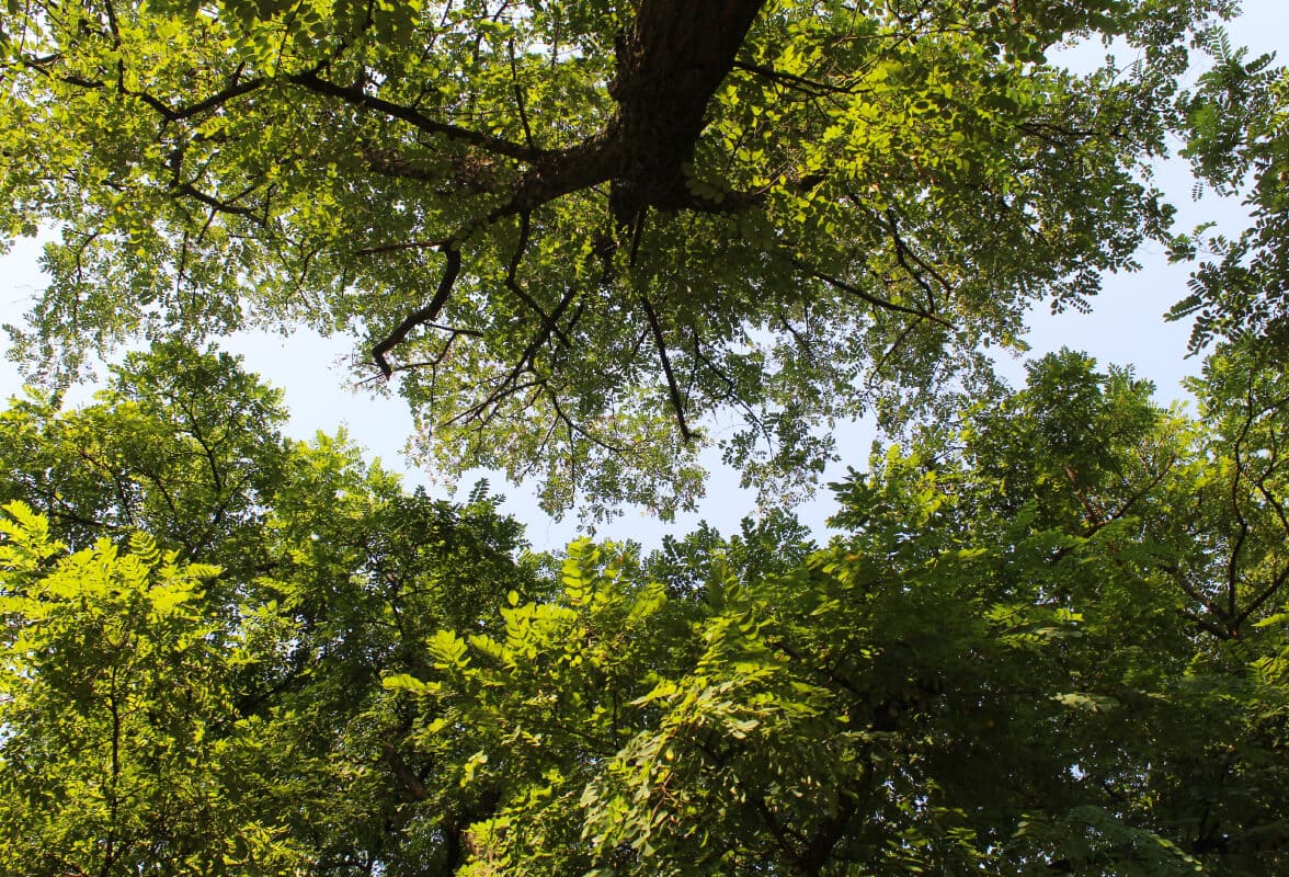 Contactos Quinta da Bouça